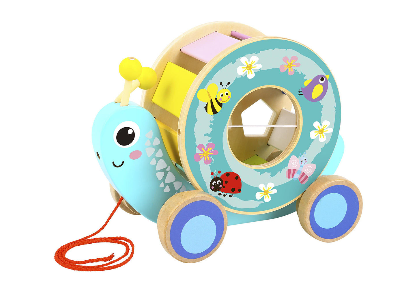 Tooky Toys Pull Along Snail Shape Sorter