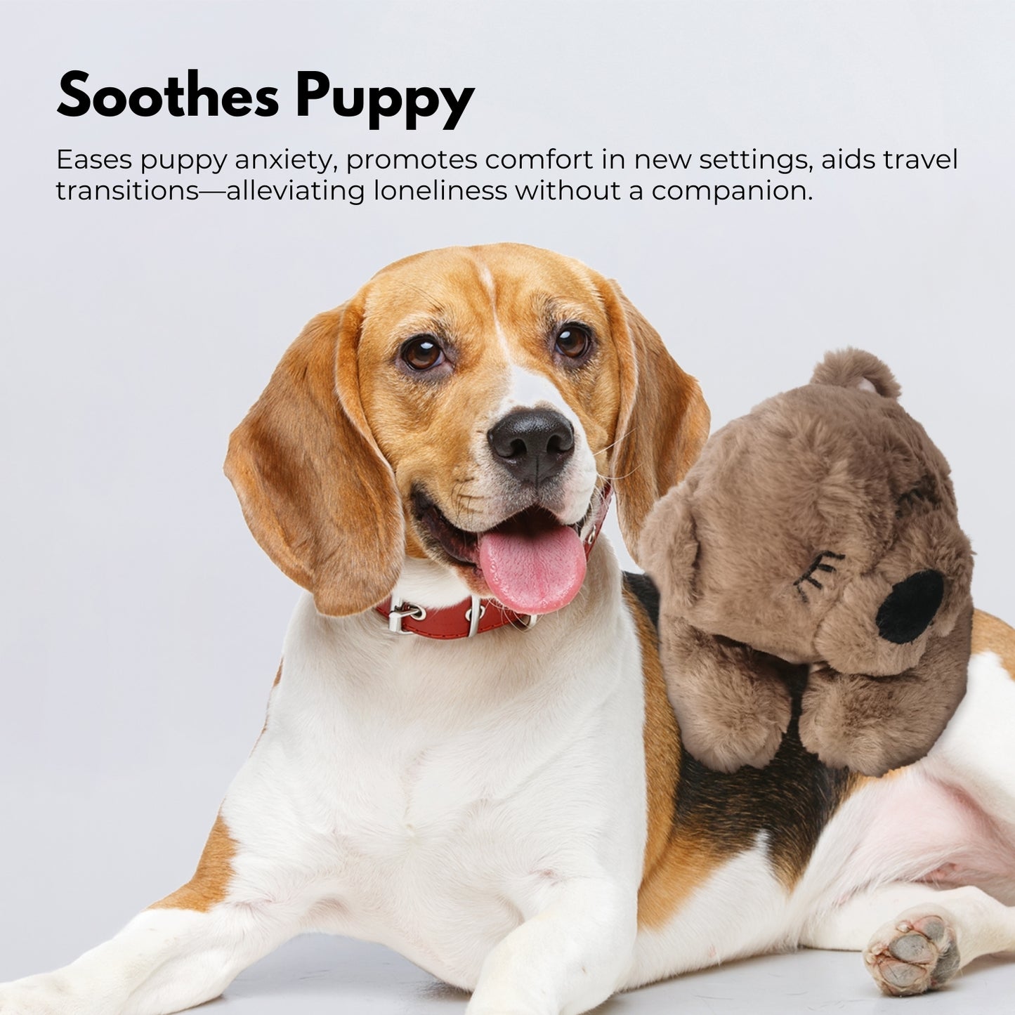 FLOOFI Heartbeat Teddy Plush Dog Toy for Anxiety Relief