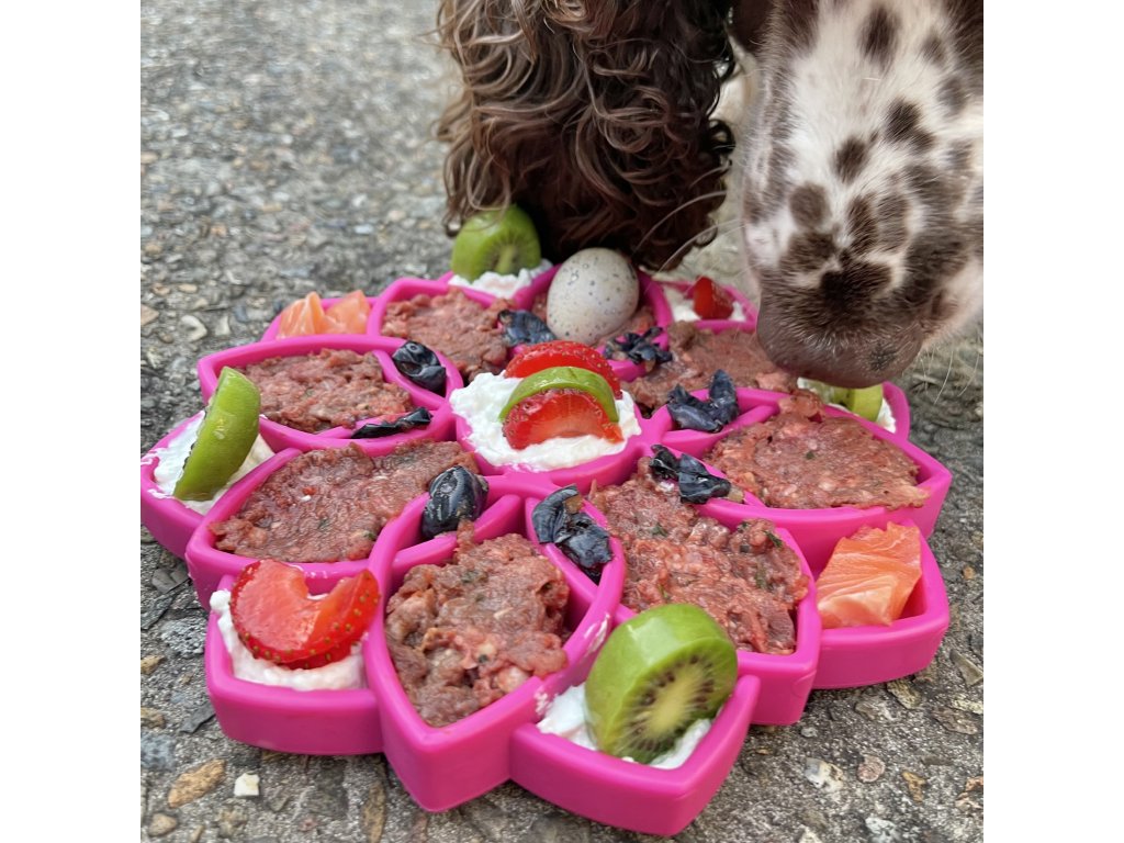 Sodapup Mandala Pet Slow Feeder