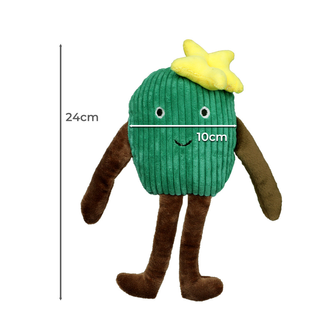 Cactus Squeaky Dog Chew Toy