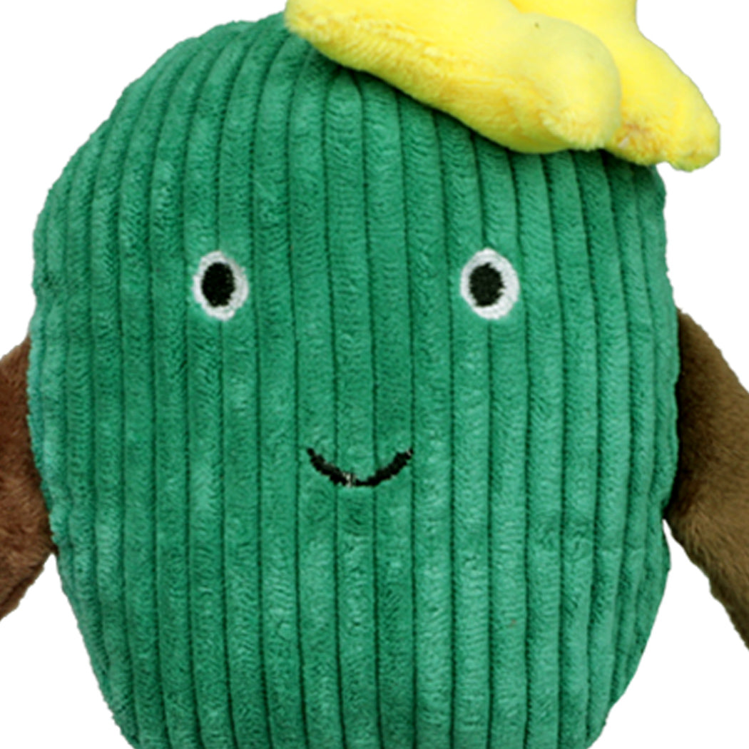 Cactus Squeaky Dog Chew Toy