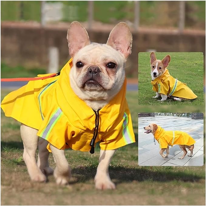 Doggy Raincoat