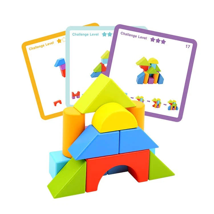 Tooky Toys Building Blocks Logic Game