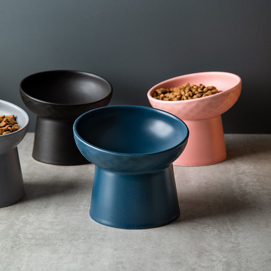 Ceramic Elevated Oblique Pet Bowl