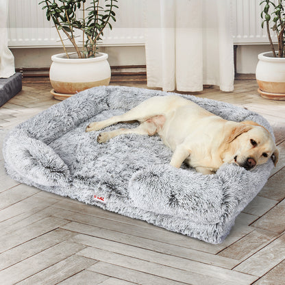 PaWz Orthopaedic Memory Foam Pet Bed