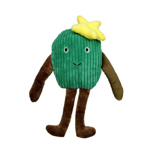 Cactus Squeaky Dog Chew Toy